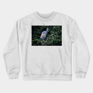 Dreamy Heron Crewneck Sweatshirt